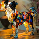 Border Collie Dog Breed
